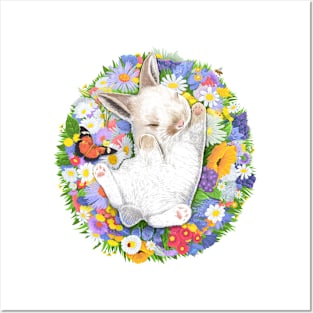 Little sleeping rabbit Posters and Art